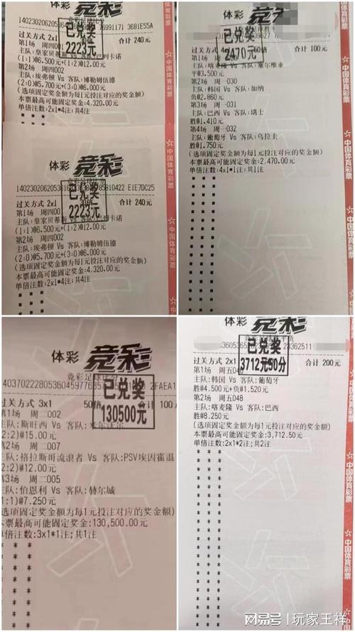 团队不仅在